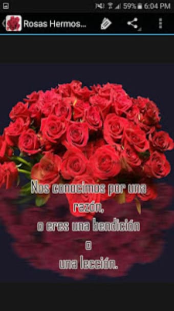 Rosas con Amor