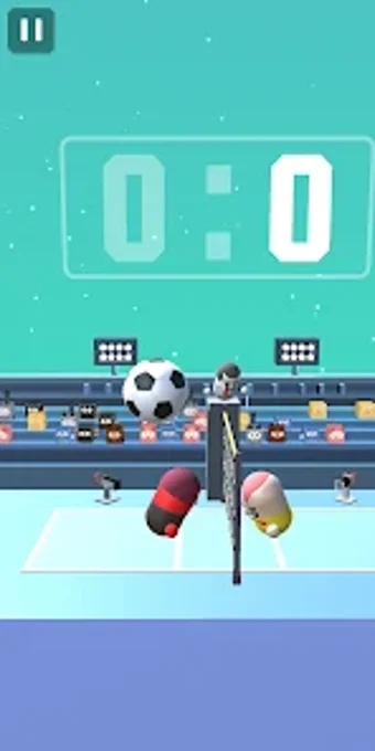 Crazy 3D Volleyball Match