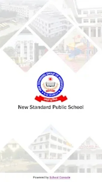 New Standard Public School - N