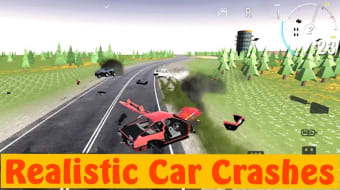 Real Drive 8 Crash