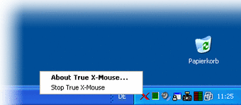True X-Mouse Gizmo