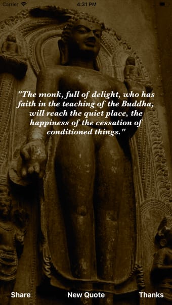 Buddha Wisdom