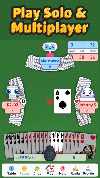 Double Deck Pinochle