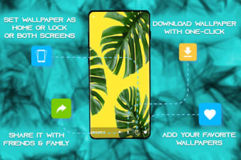 Tropical Wallpaper HD - 4K Background