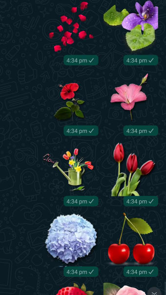 Flowers Stickers for Whatsapp