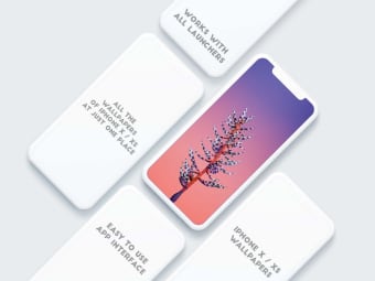 Wallpapers for iPhone X / XS