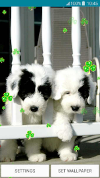 Live Wallpapers  Puppies