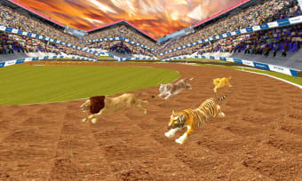 Wild lion dog Tiger animal racing simulator 3d