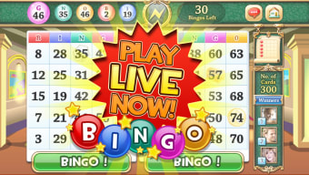 Bingo Bango - FREE BINGO GAME