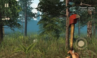 7 Days Survival: Forest