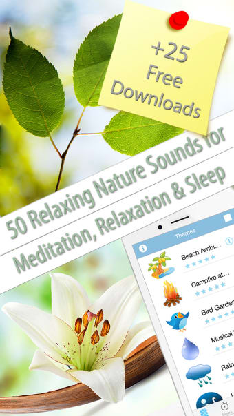 Free Relaxing Nature Scenes to Reduce Stress  Anxiety