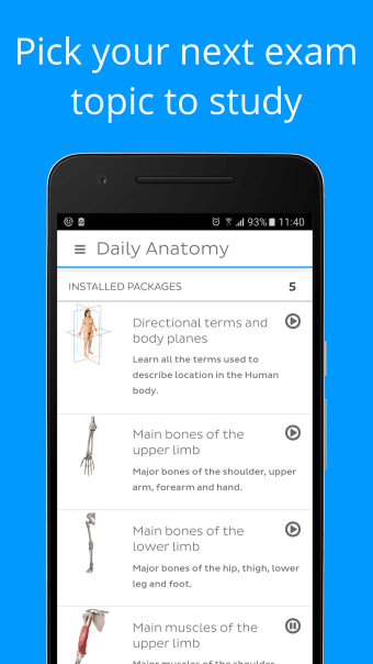 Daily Anatomy: Flashcard Quizzes to Learn Anatomy