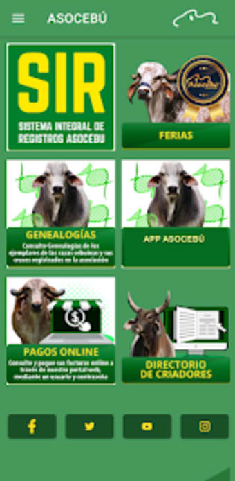 App Asocebú Colombia