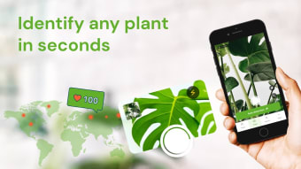 Plant Identifier - FREE of ads