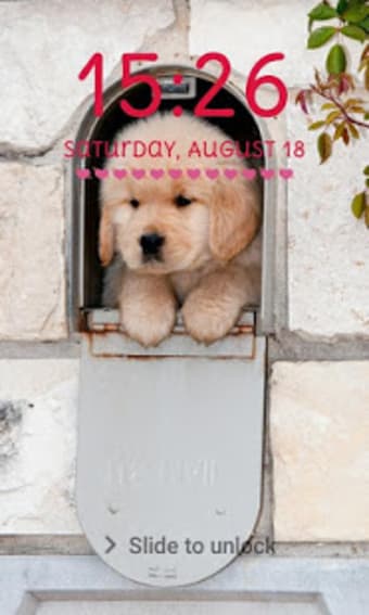 Cute Puppy Lock Screen Cute Puppy Pattern Passcode