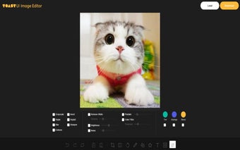 Photo Editor in Google Chrome™