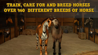 Horse Academy - Multiplayer Horse Racing Game