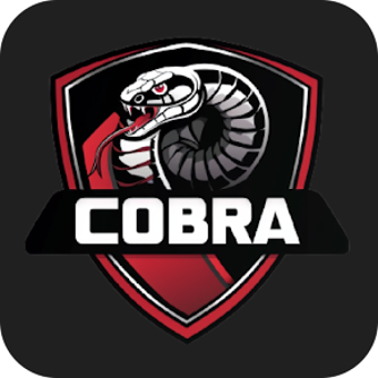 COBRA PRIVATE VPN