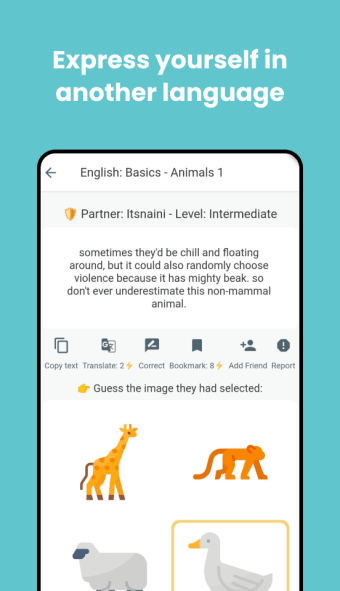 Polygloss: Learn Languages