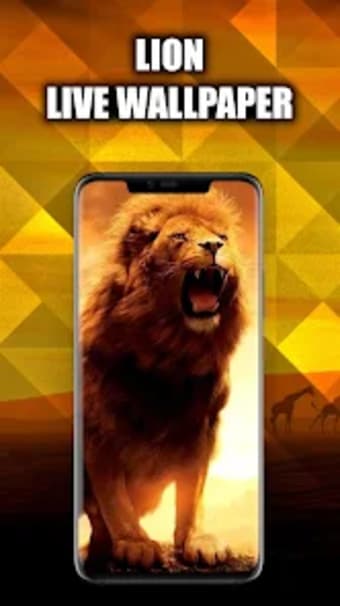 Lion Live Wallpaper  Lion Wal