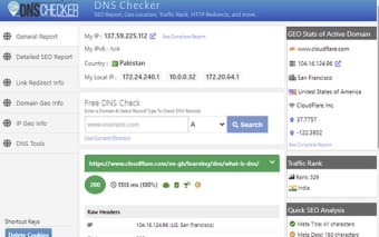 DNS Checker - SEO and Domain Analysis
