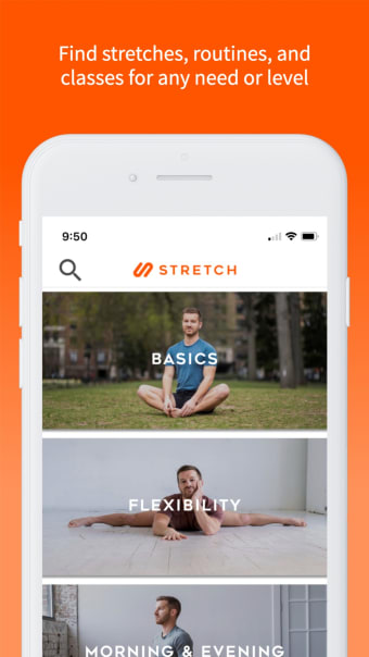 Stretch: Stretching  Wellness