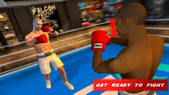 Mega Punch Boxing Game