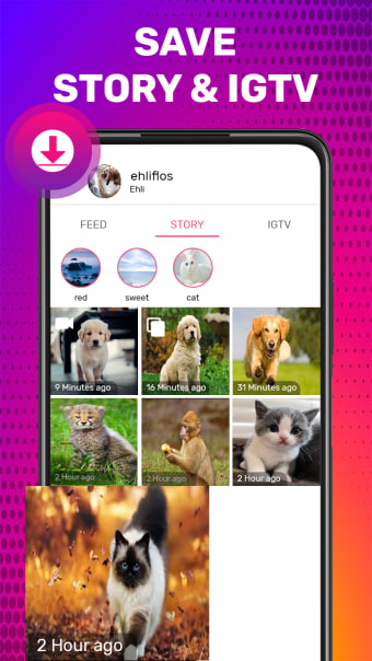 InSaver : Save Story and Video