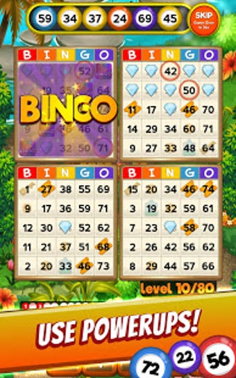 Bingo Quest - Summer Garden Adventure