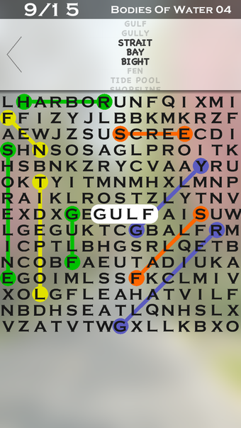 Word Search Max