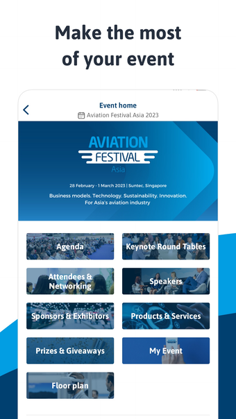 Aviation Festival