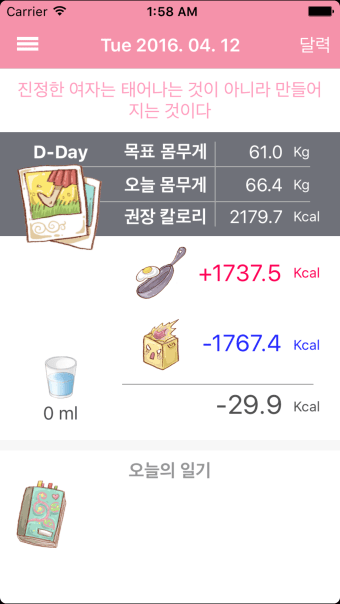 다이어트 일기 DD - Diet Diary
