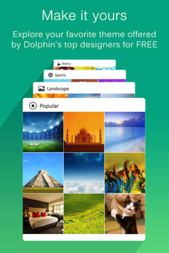 Dolphin Web Browser Pro Secure Search Explorer