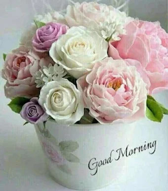 Good Morning Flowers