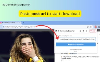 IG Comments Exporter
