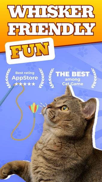 Cat Games  Cats and Pets