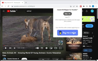 Instant Ad Skipper For Youtube