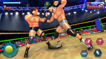 Real Wrestling Tag Fight Games