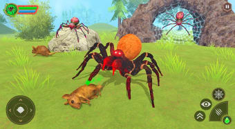 Spider Sim: Life of Spider