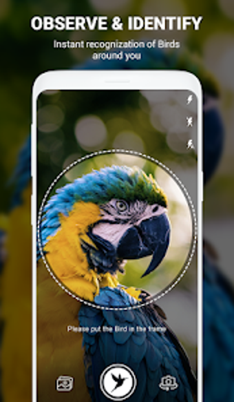 Birds Identifier App by Photo