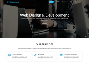Web Development WordPress Theme