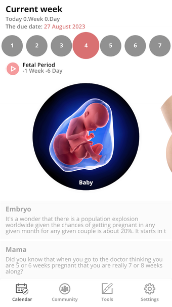 Pregnancy Tracker and Baby