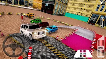 Prado Parking Mania Car Games