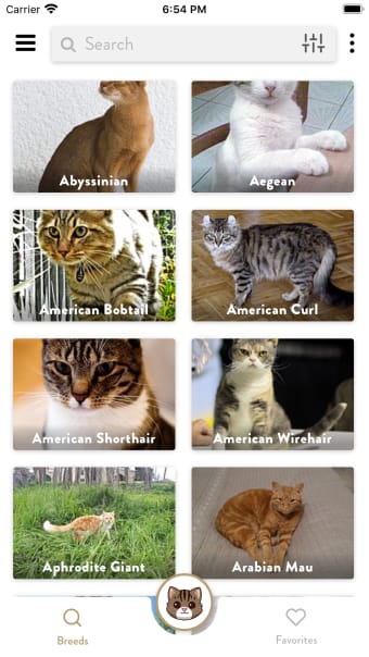 Cats Pedia: Breed identifier