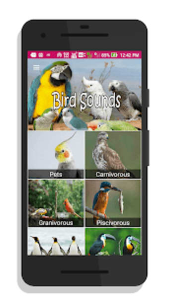 100 Bird sounds : Ringtones Wallpapers