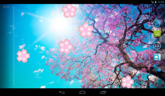 Japanese Sakura Garden Video Wallpapers Gallery
