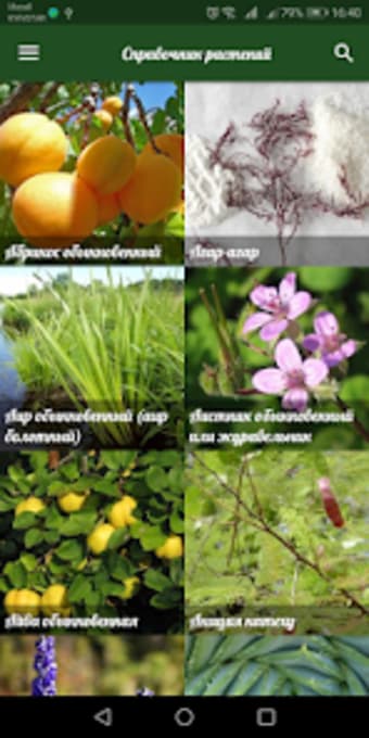 Справочник растений