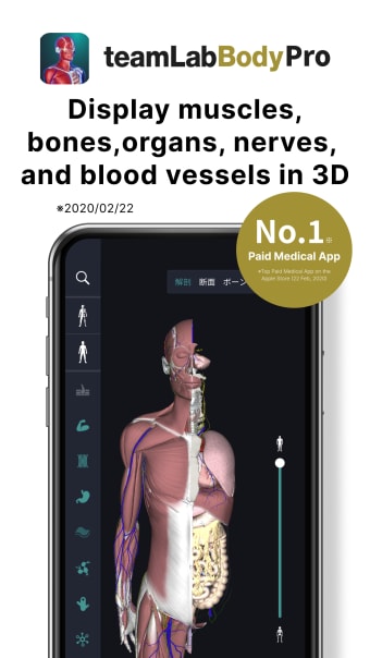 teamLab Body Pro 3d anatomy