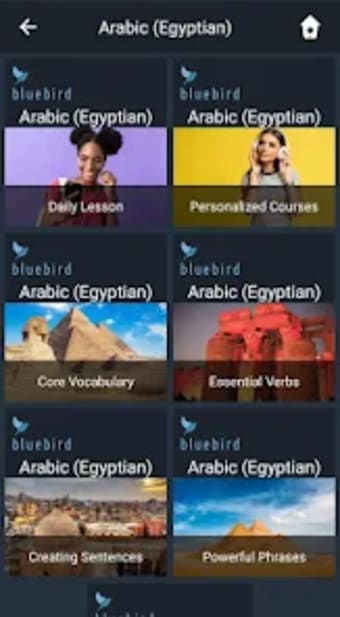 Learn Egyptian Arabic. Speak E