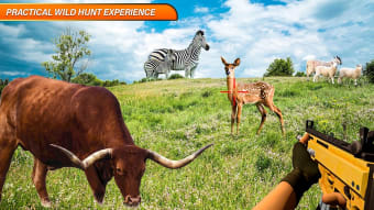 Wild Hunter Animal Hunting